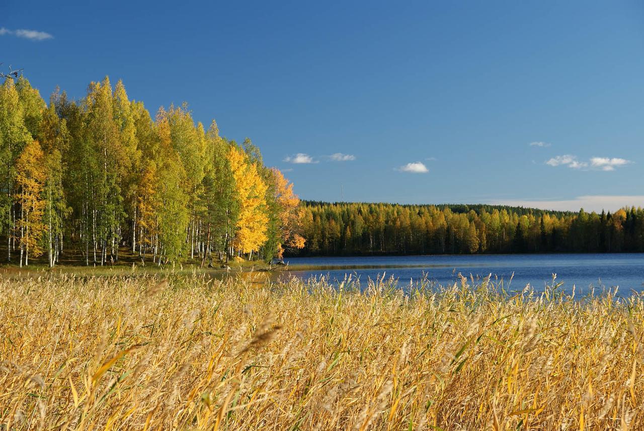 Ik Hotel & Camping Keuruu Zewnętrze zdjęcie
